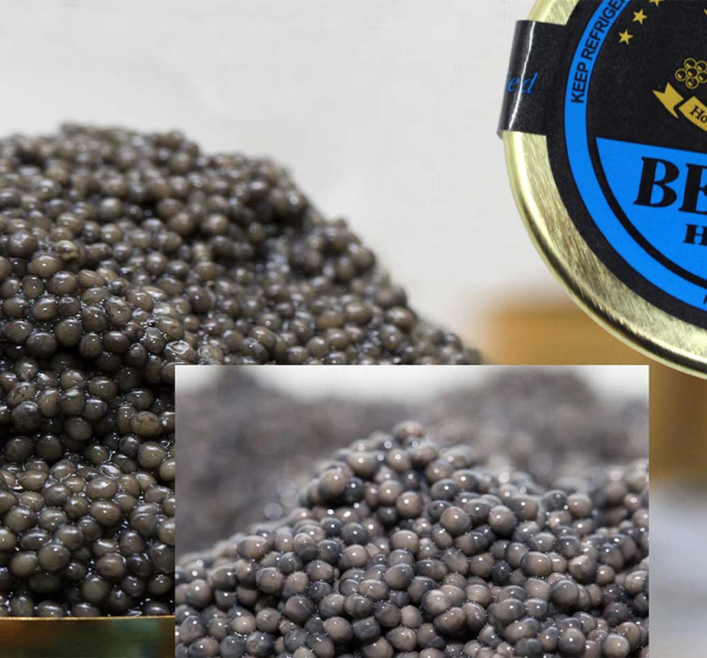 Beluga Caviar en Lata: El Lujo Preservado para los Paladares más Exigentes